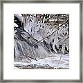 Icy Spring Framed Print