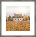 Idyllic Thatched Cottage In A Summer Meadow Framed Print