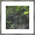 If A Tree Falls In The Woods Framed Print