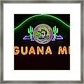 Iguana Mia Framed Print