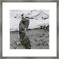 I'm Cold Framed Print