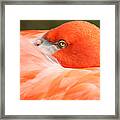 I'm Watching You Framed Print