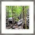 Image Included In Queen The Novel - Rocks At Smugglers Notch Enhanced Framed Print