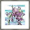 Imperial Orchids Framed Print