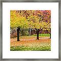 Impressionist Autumn Framed Print