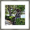 Impressions From A Park - Three Framed Print