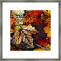 In All Things Give Thanks Framed Print