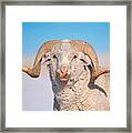 In Charge Framed Print