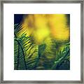 In-fern-o Framed Print