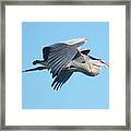 In Flight Framed Print