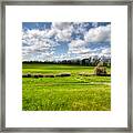 In Green Pastures Framed Print