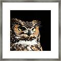 In His Domain Framed Print