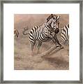 In Pursuit Framed Print