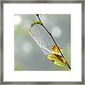 In The Air Framed Print