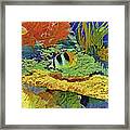 In The Coral Garden 10 Framed Print