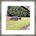 In The Deep South Framed Print