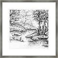 In The Forest Framed Print