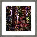 In The Giant Forest Framed Print