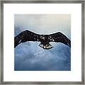 In The Middle Of Nowhere - Eagle Art Framed Print
