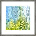 In The Sea Framed Print