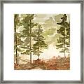 In The Trees Framed Print
