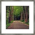 In To The   Deep Dark Woods Framed Print
