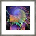 In What Far Place Framed Print