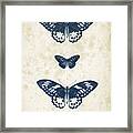 Insects - 1832 - 04 Framed Print