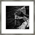 #insects #insect #bug #bugs Framed Print