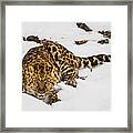 Intensity Framed Print