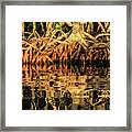 Intertwined Framed Print