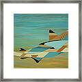 Into The Blue Shark Painting Framed Print