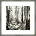 Into The Forest - Nr. 1 Framed Print