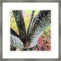 Into The Middle Framed Print