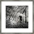 Into The Storm Framed Print