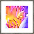 Into The Water Lily - Nature Art Framed Print