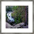Into The Wild Framed Print