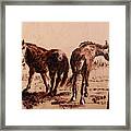 Invisible Fence Framed Print