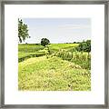 Iowa Corn Field Framed Print