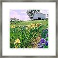 Iris Farm Framed Print