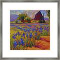 Iris Field Framed Print