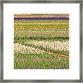 Iris Patterns Framed Print
