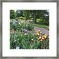 Iris With Trees Framed Print