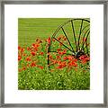 Iron Wheel With Orange Poppies Framed Print