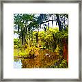 Island In The Park Framed Print