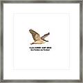 Isolated Black-crowned Night Heron 2017-6 Framed Print
