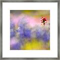 Isolated Paintbrush Framed Print