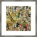 Italian Riviera Framed Print