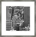 It's A Jungle Out There Framed Print