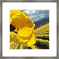 It's All About Me Yellow Tulip Framed Print